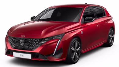 Peugeot 308 1.5 BlueHDI Kronik Sorunlari