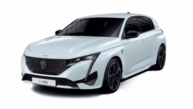 Peugeot 308 Kronik Sorunlari 0